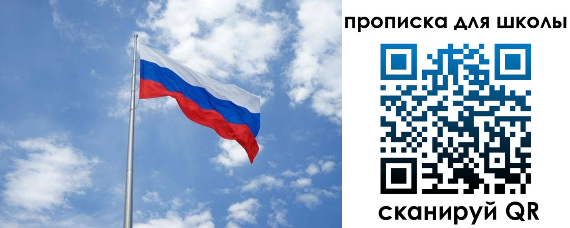 прописка поиск в Мурино